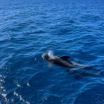 139d7003-3013-4c75-a2fb-0ec8d19e2390